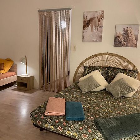 T2 Plein Centre Au 1Er Etage Avec Parking Prive Daire Millau Dış mekan fotoğraf